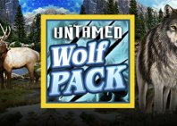 Untamed Wolf Pack (Дикие Волки)