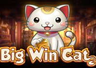 Big Win Cat (Кошечка на удачу)